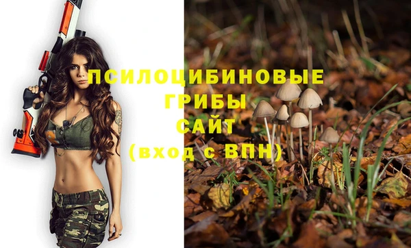 твердый Абинск