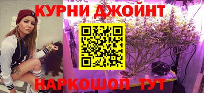apvp Кунгур