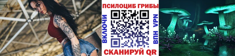 где купить наркотик  Касимов  darknet как зайти  Галлюциногенные грибы Psilocybine cubensis  mega как войти 