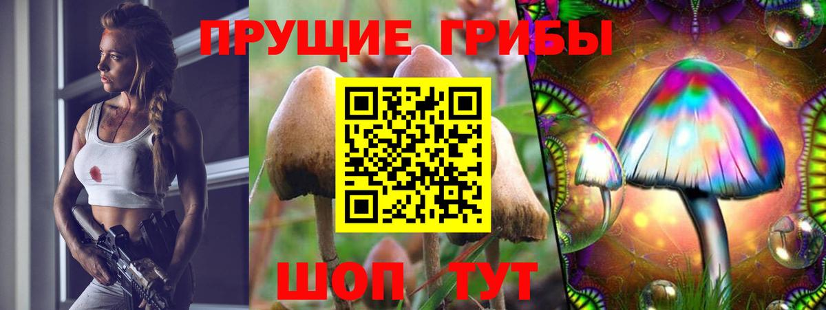 Псилоцибиновые грибы Magic Shrooms Касимов