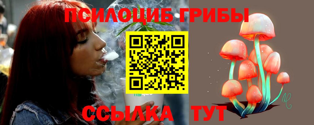 Галлюциногенные грибы ЛСД  Галлюциногенные грибы ЛСД  Касимов  Вход с VPN 