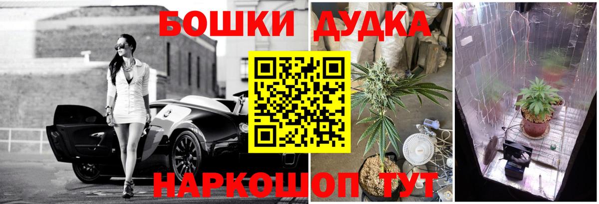Конопля планчик  Каннабис MAZAR  Касимов  Вход с VPN 